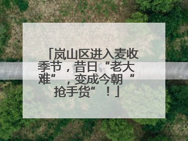 岚山区进入麦收季节，昔日“老大难”，变成今朝“抢手货”！