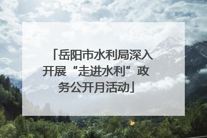 岳阳市水利局深入开展“走进水利”政务公开月活动
