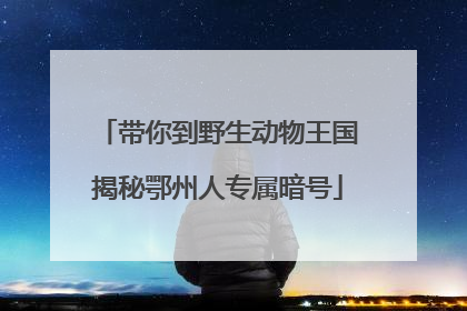 带你到野生动物王国揭秘鄂州人专属暗号