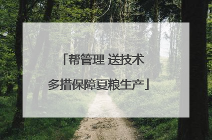帮管理 送技术 多措保障夏粮生产