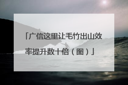 广信这里让毛竹出山效率提升数十倍（图）