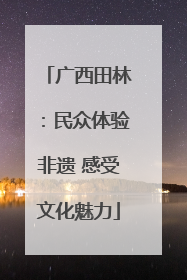 广西田林：民众体验非遗 感受文化魅力
