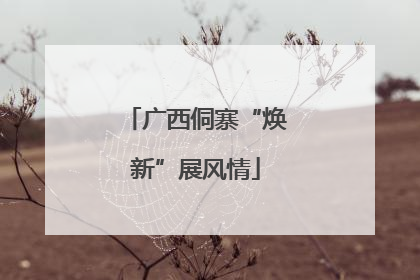 广西侗寨“焕新”展风情