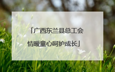 广西东兰县总工会情暖童心呵护成长