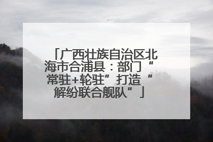 广西壮族自治区北海市合浦县：部门“常驻+轮驻”打造“解纷联合舰队”