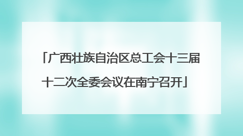 广西壮族自治区总工会十三届十二次全委会议在南宁召开
