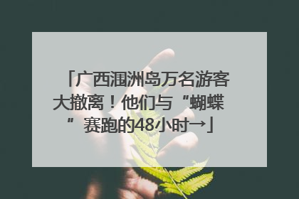广西涠洲岛万名游客大撤离！他们与“蝴蝶”赛跑的48小时→