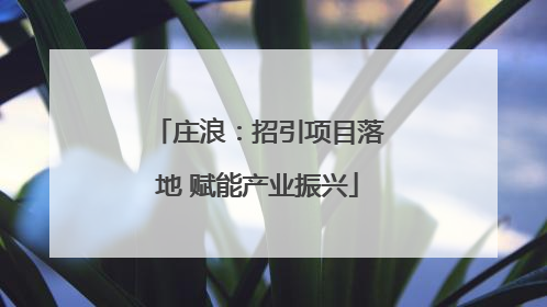 庄浪：招引项目落地 赋能产业振兴
