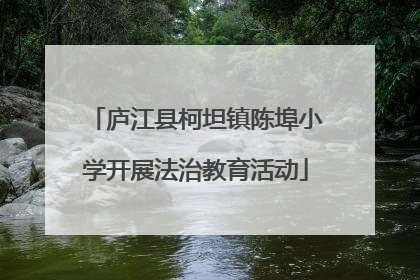 庐江县柯坦镇陈埠小学开展法治教育活动