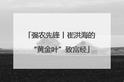 强农先锋丨崔洪海的“黄金叶”致富经