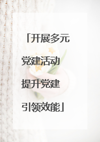 开展多元党建活动 提升党建 引领效能