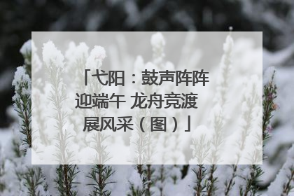 弋阳：鼓声阵阵迎端午 龙舟竞渡展风采（图）