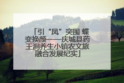 引“凤”突围 蝶变换颜——庆城县药王洞养生小镇农文旅融合发展纪实