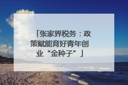 张家界税务：政策赋能育好青年创业“金种子”