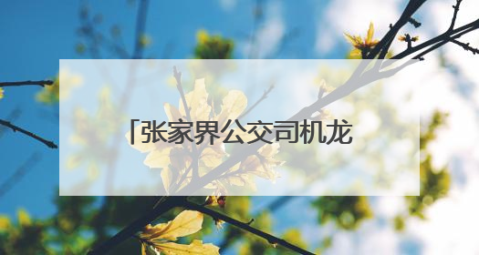 张家界公交司机龙用军书写医者仁心之外的温暖篇章