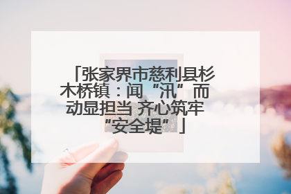 张家界市慈利县杉木桥镇：闻“汛”而动显担当 齐心筑牢“安全堤”