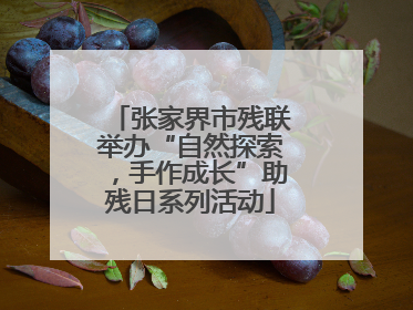 张家界市残联举办“自然探索，手作成长”助残日系列活动