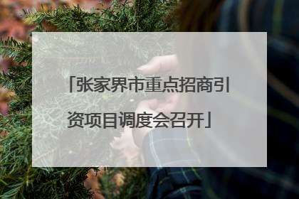 张家界市重点招商引资项目调度会召开