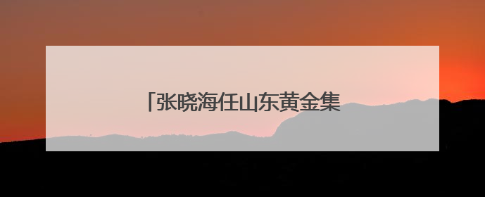 张晓海任山东黄金集团有限公司董事长