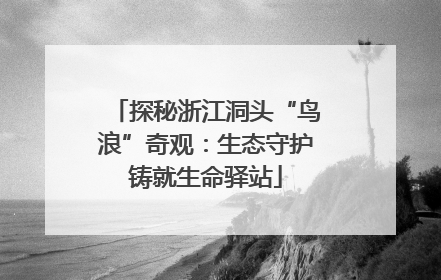 探秘浙江洞头“鸟浪”奇观：生态守护铸就生命驿站