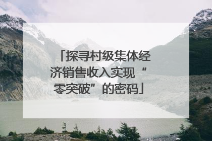 探寻村级集体经济销售收入实现“零突破”的密码