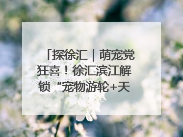 探徐汇｜萌宠党狂喜！徐汇滨江解锁“宠物游轮+天台乐园”双玩法
