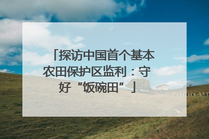 探访中国首个基本农田保护区监利：守好“饭碗田”