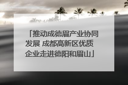 推动成德眉产业协同发展 成都高新区优质企业走进德阳和眉山