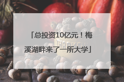 总投资10亿元！梅溪湖畔来了一所大学