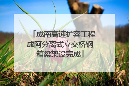 成南高速扩容工程成阿分离式立交桥钢箱梁架设完成