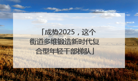 成势2025，这个街道多维锻造新时代复合型年轻干部梯队