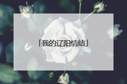 我的辽阳情结