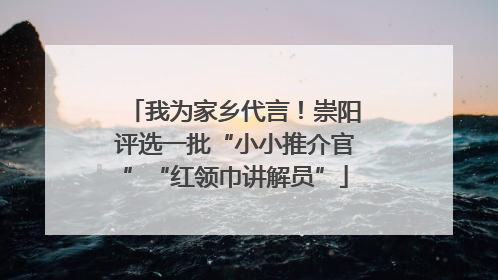 我为家乡代言！崇阳评选一批“小小推介官”“红领巾讲解员”