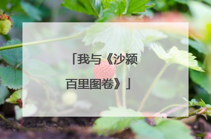 我与《沙颍百里图卷》