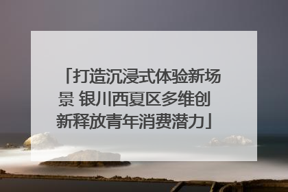 打造沉浸式体验新场景 银川西夏区多维创新释放青年消费潜力