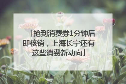 抢到消费券1分钟后即核销，上海长宁还有这些消费新动向