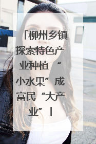 柳州乡镇探索特色产业种植 “小水果”成富民“大产业”