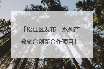 松江区发布一系列产教融合创新合作项目