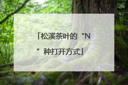 松溪茶叶的“N”种打开方式
