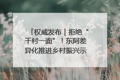 权威发布｜拒绝“千村一面”！东阿差异化推进乡村振兴示范片区建设