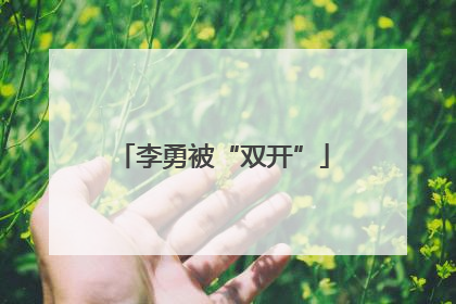 李勇被“双开”
