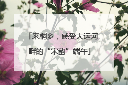来桐乡，感受大运河畔的“宋韵”端午