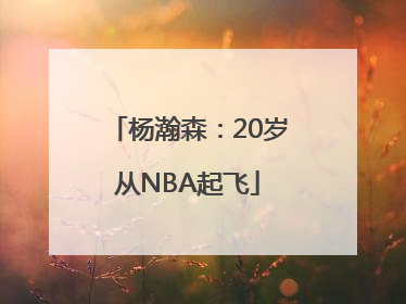 杨瀚森：20岁从NBA起飞