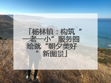 杨林镇：构筑“一老一小”服务圈 绘就“朝夕美好”新图景