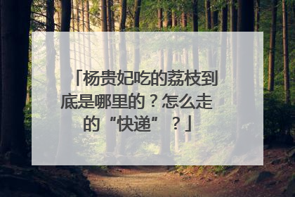 杨贵妃吃的荔枝到底是哪里的？怎么走的“快递”？