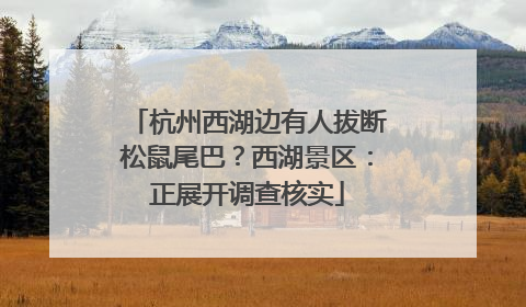 杭州西湖边有人拔断松鼠尾巴？西湖景区：正展开调查核实