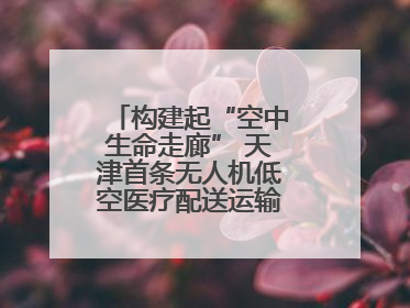 构建起“空中生命走廊” 天津首条无人机低空医疗配送运输专线试飞成功