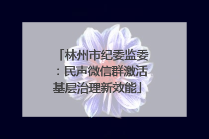 林州市纪委监委：民声微信群激活基层治理新效能