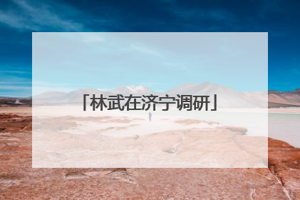 林武在济宁调研