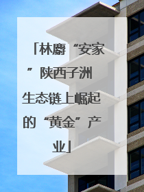 林麝“安家”陕西子洲 生态链上崛起的“黄金”产业